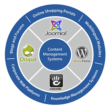 digitera_content_management_system